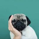 Soul不想说话109289的个人资料头像