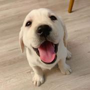 黄火火的个人资料头像