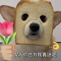 对方正在输入中79493头像