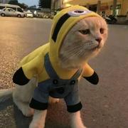 LUOYE的个人资料头像