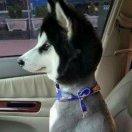 曾文兵的个人资料头像