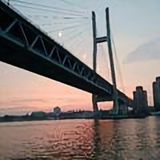 百毒886头像