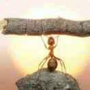 爱琴的孩子的个人资料头像