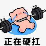 梦幻梦想5L1头像