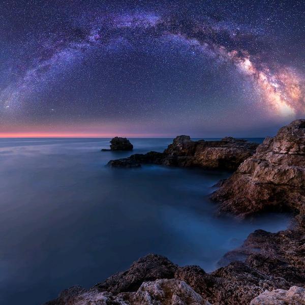 APk奮鬥德ふ鳥゜|头像