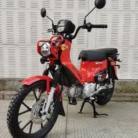 夏雪冬火春华头像