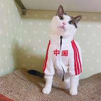 用户7591537770997头像