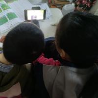 自在橙子dNP头像