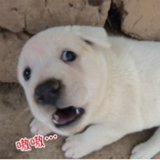 手机用户78962269769头像