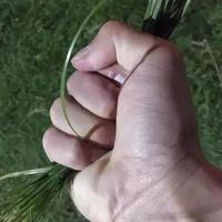 江家涌的林爷头像