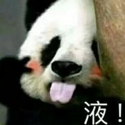 花无缺0x的个人资料头像