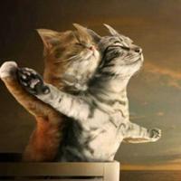 山东大木哥头像