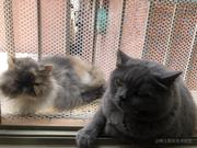 枫_的个人资料头像