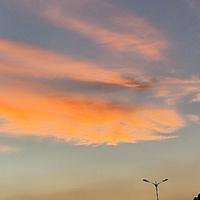 果子掉下来砸中脑袋头像