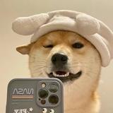 用户5338828058158头像