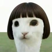 coderReid的个人资料头像