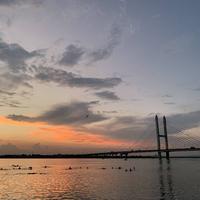 沉着天空0HA头像