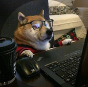 Brick_Dogs的个人资料头像