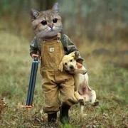 JY_大肥猫的个人资料头像