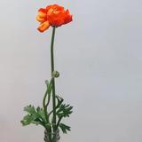 媒介小哥A头像