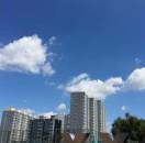 飞马踏燕的个人资料头像