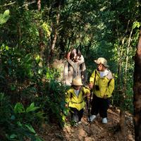 Coy的两只幼幼崽头像