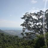 Jkj33头像