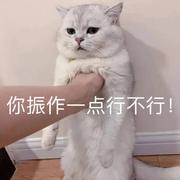 今晚几点睡的个人资料头像
