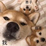 幽默饺子7yl头像