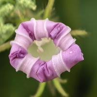 z折d叠r人s生头像