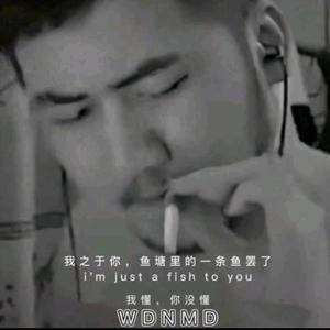 番茄哥哥头像