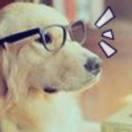 尚拙的个人资料头像