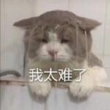 夏至未丶头像