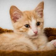 用户1632731977885的个人资料头像