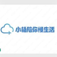 小杨陪你慢生活头像