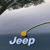 爱Jeep爱生活头像