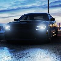 D77丶东契奇头像