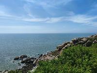 晓明8681头像