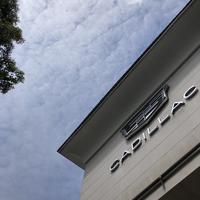 四川新东信小月半头像