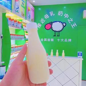 外向芒果O7头像