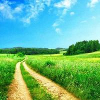 樱樱许新跃头像