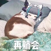 零团的个人资料头像