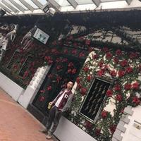 用户4294926226798头像