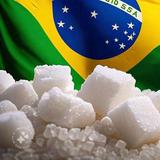 巴西白糖凤爪真实货源头像