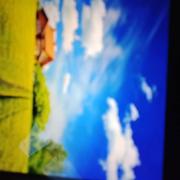 美丽姐的个人资料头像