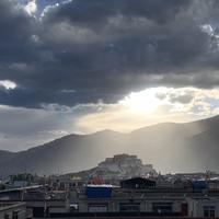 住户甲头像