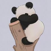 一个bug改一天的个人资料头像