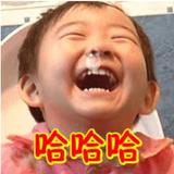 欢快饺子UTR头像