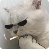德才兼备蛋糕Ky头像