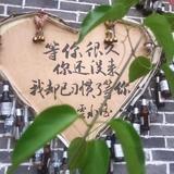 蓝色飞翔6777头像